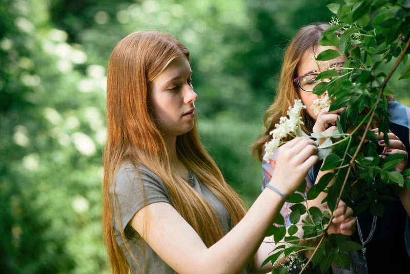 Frau pfl&uuml;ckt Blumen im Wald