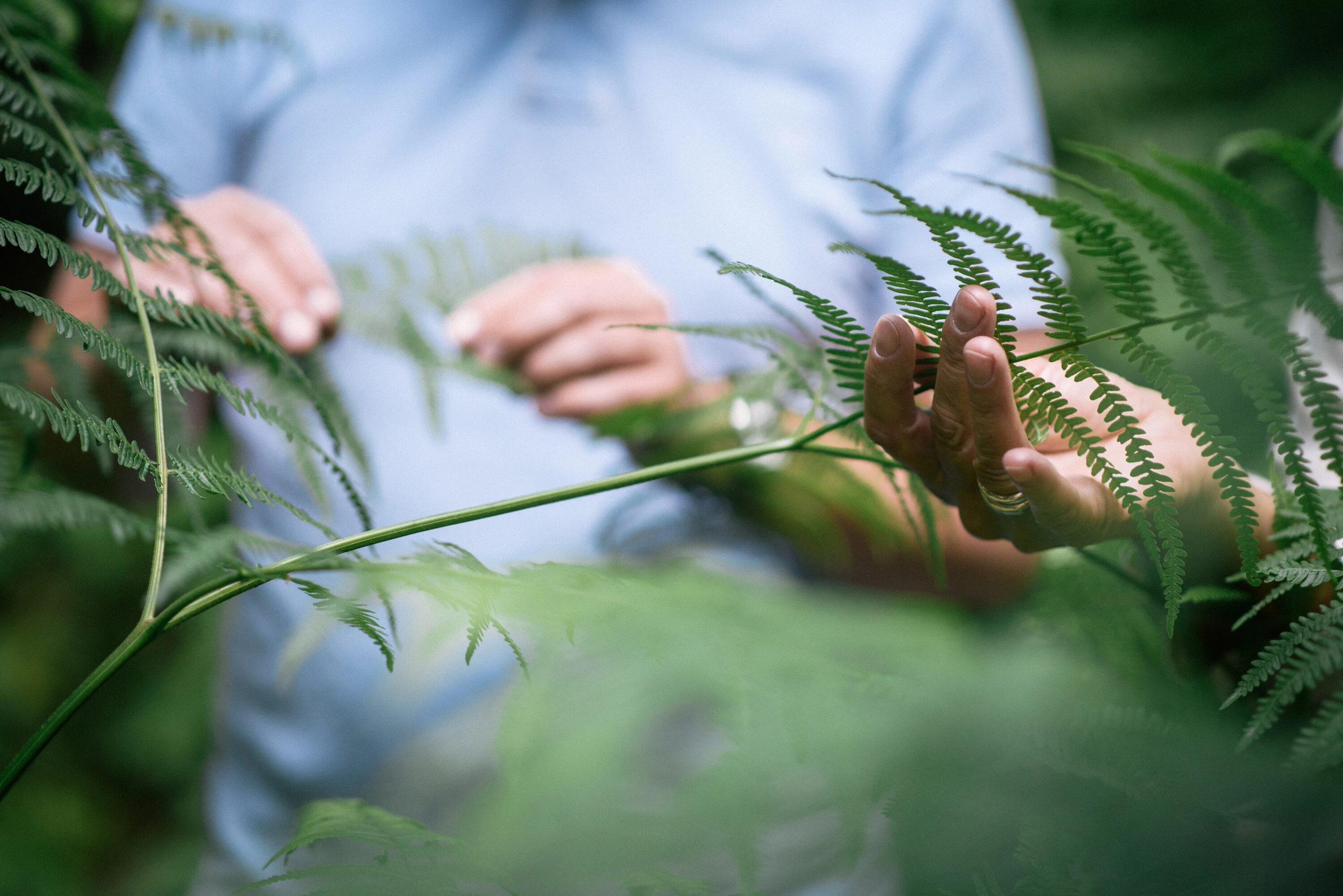 Nahaufnahme von H&auml;nden, die durch pflanzen streichen